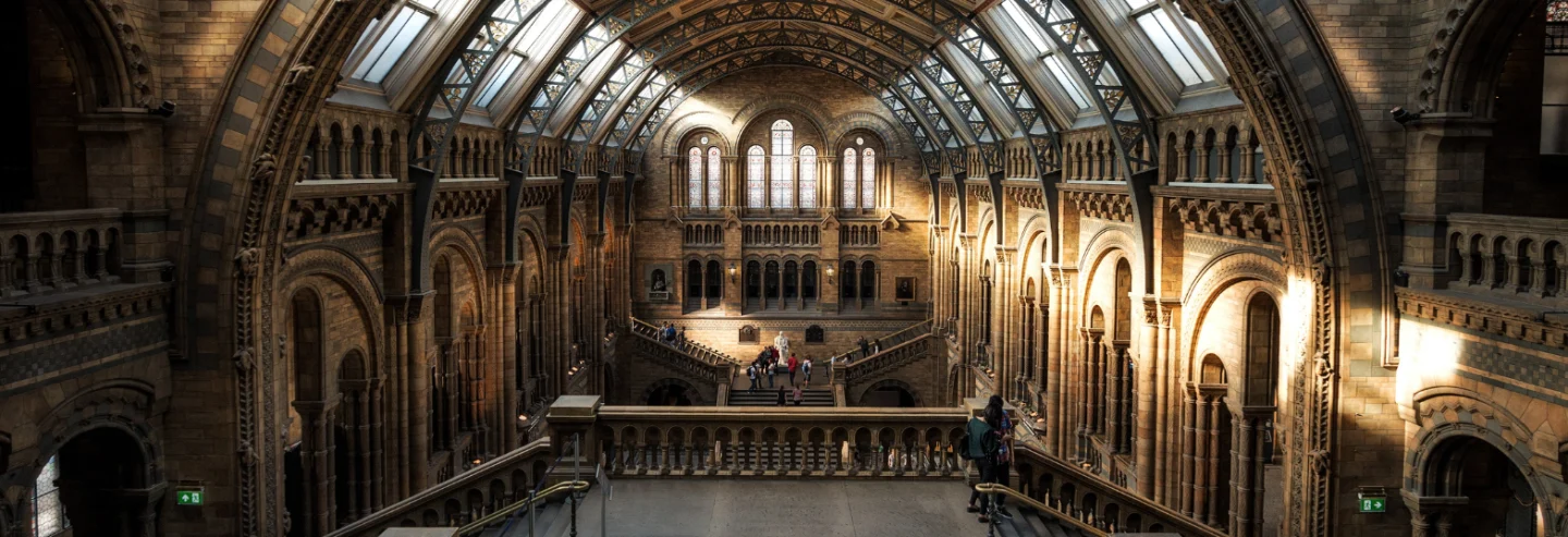 International Museum Day