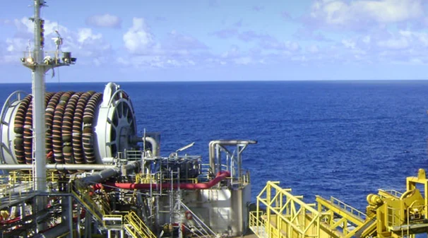 Large Bore Hose Reel Swivel Joints