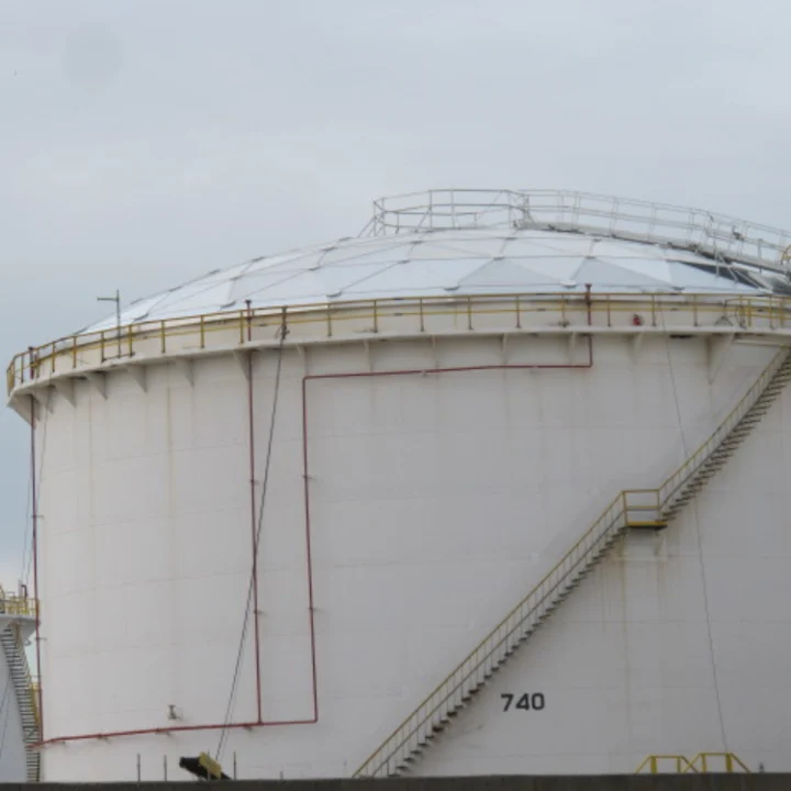 Image of a Completed Geodesic Tank Dome